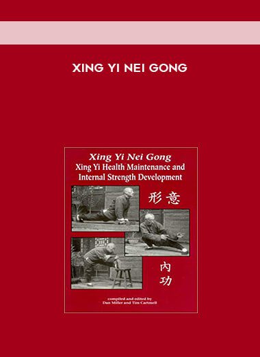 Xing Yi Nei Gong