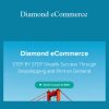 [Download Now] Youse – Diamond eCommerce
