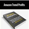 Amazon Trend Profits
