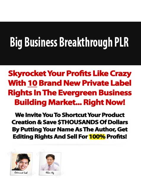 Big Business Breakthrough PLR