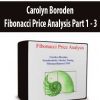 Carolyn Boroden - Fibonacci Price Analysis Part 1 - 3