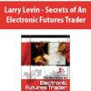 Larry Levin - Secrets of An Electronic Futures Trader