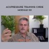 Michael Reed Gach – Acupressure Training Cirde. Module 03