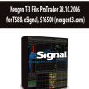 Nexgen T-3 Fibs ProTrader 28.10.2006 for TS8 & eSignal (nexgent3.com)