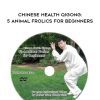 Jesse Tsao – Chinese Health Qigong: 5 Animal Frolics for Beginners