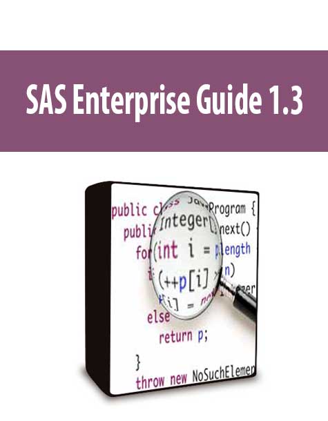 SAS Enterprise Guide 1.3