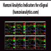 [Download Now] Hamzei Analytics Indicators for eSignal (hamzeianalytics.com)
