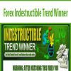 Forex Indestructible Trend Winner