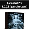 Gannalyst Pro 3.0.0.3 (gannalyst.com)