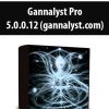 Gannalyst Pro 5.0.0.12 (gannalyst.com)