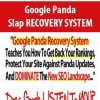 Google Panda Slap RECOVERY SYSTEM