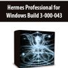 Hermes Professional for Windows Build 3-000-043 (9 Dezember 2005) (hermes-astrologie.com)