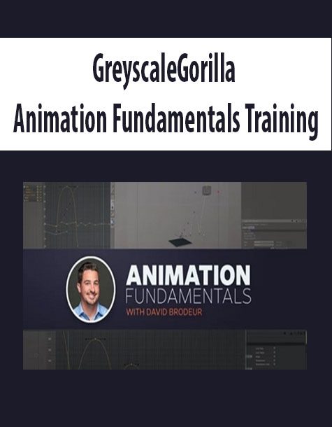 GreyscaleGorilla – Animation Fundamentals Training