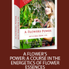 [Download Now] Sara Crow - A Flowers Power - A Course In The Energetics Of Flower Essences