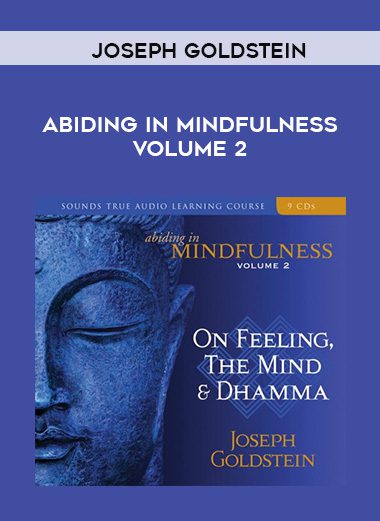 Joseph Goldstein – ABIDING IN MINDFULNESS VOLUME 2