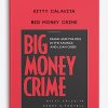 Kitty Calavita – Big Money Crime