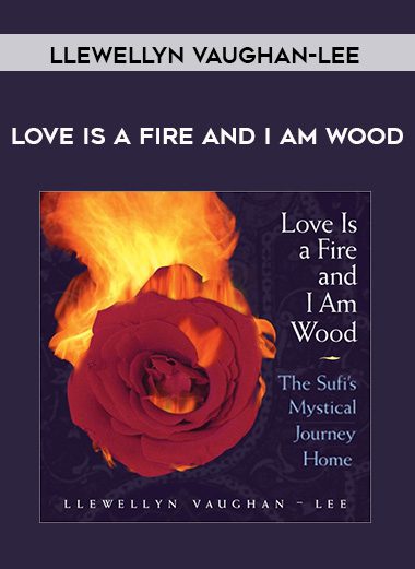 Llewellyn Vaughan-Lee – LOVE IS A FIRE AND I AM WOOD