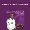 Marcello Monteiro – BJJ Blue to Purple Curriculum