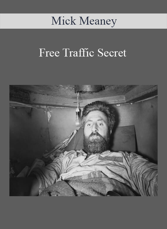 Mick Meaney - Free Traffic Secret