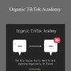 Jimmy Farley - Organic TikTok Academy