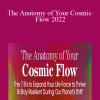 Masami Covey - The Anatomy of Your Cosmic Flow 2022