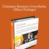 Eliminate Business Overwhelm (Blaze Package)