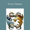 Michael Hall - Secrecy Dragons
