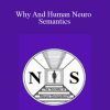 Michael Hall - Why And Human Neuro Semantics