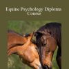 Centreofexcellence - Equine Psychology Diploma Course