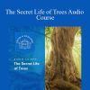 Centreofexcellence - The Secret Life of Trees Audio Course