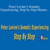 Peter A. Levine - Peter Levine’s Somatic Experiencing, Step by Step Master the body-oriented approach to trauma and stress disorders