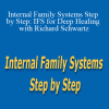 Richard Schwartz - Internal Family Systems Step by Step: IFS for Deep Healing with Richard Schwartz
