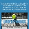 Emergence - UNDERPINNINGS CONCEPTS WHICH LIVE & BREATHE WITHIN AN ECOLOGICAL DYNAMICS FRAMEWORK
