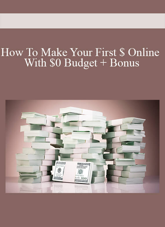 How To Make Your First $ Online With $0 Budget + Bonus