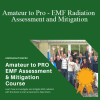 Patrick van der Burght - Amateur to Pro - EMF Radiation Assessment and Mitigation
