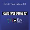 The Traveling Trader - How to Trade Options 101