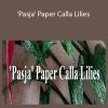 Amity Katharine Libby - 'Pasja' Paper Calla Lilies