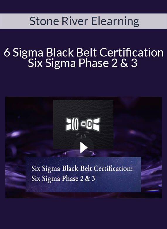 Stone River Elearning - Six Sigma Black Belt Certification Six Sigma Phase 2 & 3